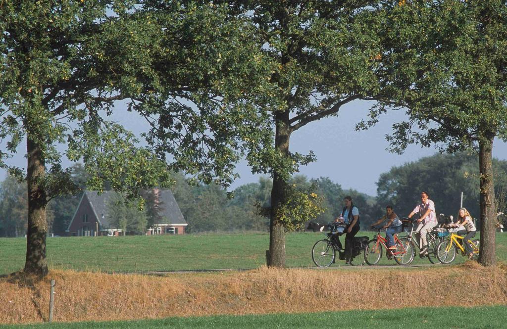 Camping Het Wieskamp Henxel Luaran gambar